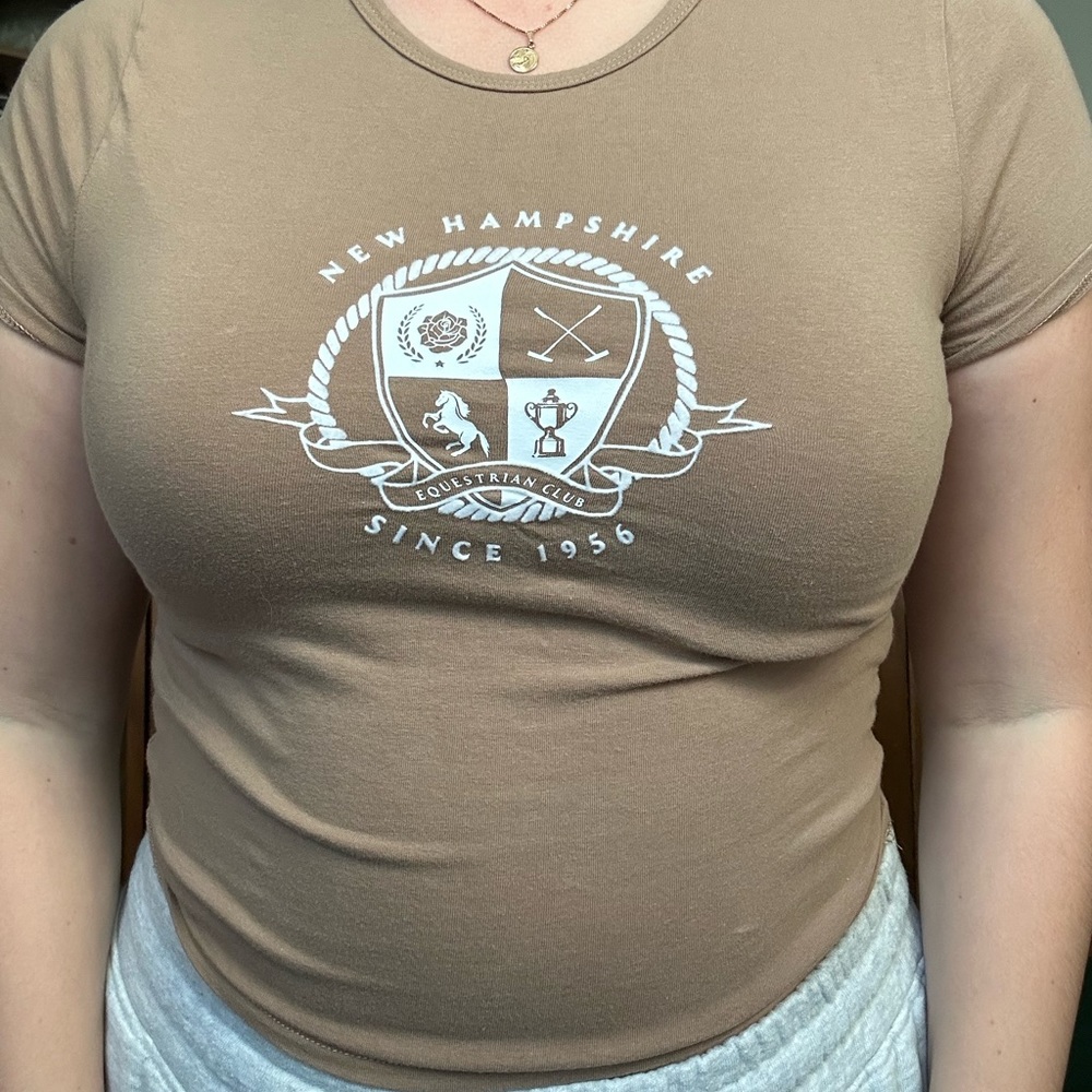 Brown Hollister Baby Tee